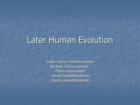 Later Human Evolution Later Homo: Homo erectus Archaic Homo sapiens: Homo antecessor Homo heidelbergensis Homo neandertalensis.