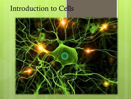 Introduction to Cells. 2 Review- Cell Theory  All organisms are composed of one or more cells.  Cells are the smallest living units of all living organisms.