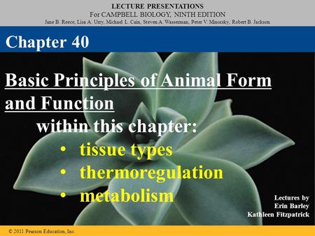 Basic Principles of Animal Form and Function within this chapter: