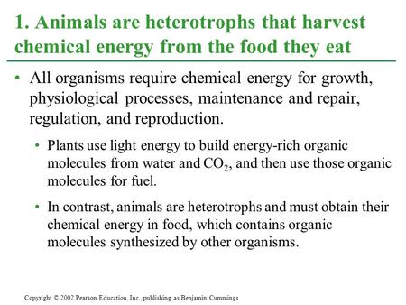 1. Animals are heterotrophs that harvest chemical energy from the food they eat All organisms require chemical energy for growth, physiological processes,