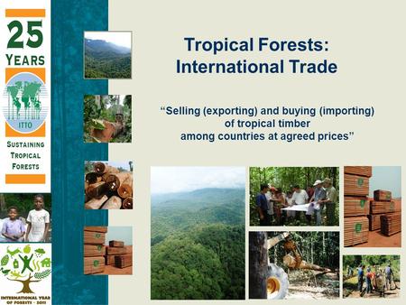 “Selling (exporting) and buying (importing) of tropical timber among countries at agreed prices” Tropical Forests: International Trade.