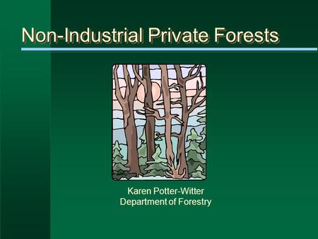 Non-Industrial Private Forests Karen Potter-Witter Department of Forestry.