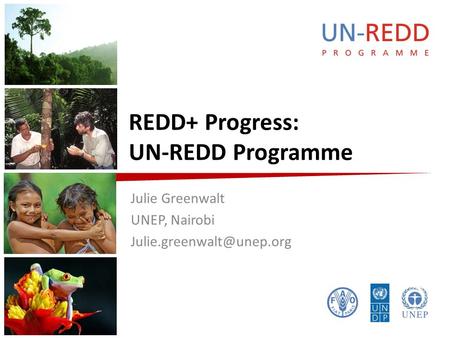 REDD+ Progress: UN-REDD Programme