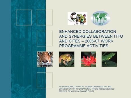 INTERNATIONAL TROPICAL TIMBER ORGANIZATION and CONVENTION ON INTERNATIONAL TRADE IN ENDANGERED SPECIES OF WILD FAUNA AND FLORA ENHANCED COLLABORATION AND.