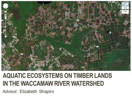 INCENTIVES TO PRESERVE AND RESTORE AQUATIC ECOSYSTEMS ON TIMBER LANDS IN THE WACCAMAW RIVER WATERSHED Advisor: Elizabeth Shapiro.