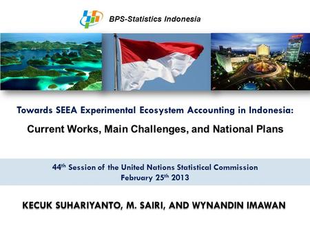 Towards SEEA Experimental Ecosystem Accounting in Indonesia:
