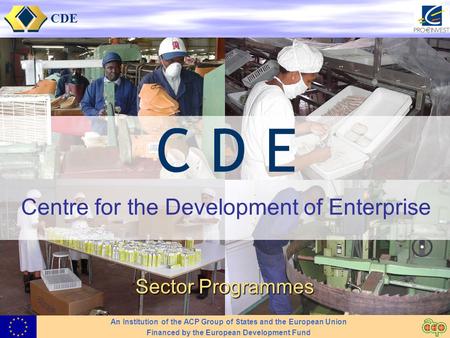 CDE Centre for the Development of Enterprise Sector Programmes An Institution of the ACP Group of States and the European Union Financed by the European.