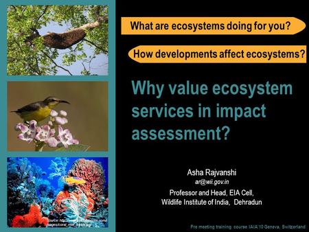 Source:  mages/coral_reef_florida.jpg Why value ecosystem services in impact assessment? Asha Rajvanshi Professor.
