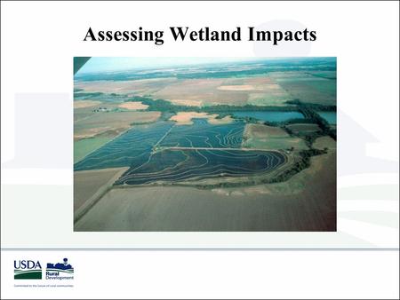Assessing Wetland Impacts. Outline Statutory Authorities and Agency Roles –Clean Water Act Sections 404 and 401 –EPA, Corps of Engineers, states –Procedures.