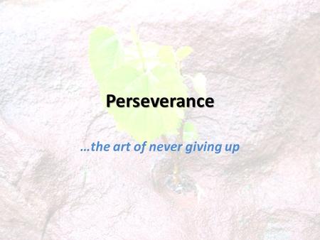 Perseverance …the art of never giving up. Perseverance: a remaining under; patient endurance ( Vine ). Steadfastness, constancy ( Thayer ).