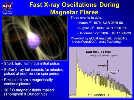 Fast X-ray Oscillations During Magnetar Flares