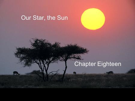 Our Star, the Sun Chapter Eighteen.