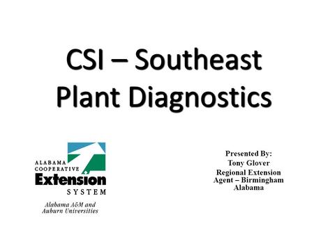 CSI – Southeast Plant Diagnostics Presented By: Tony Glover Regional Extension Agent – Birmingham Alabama.