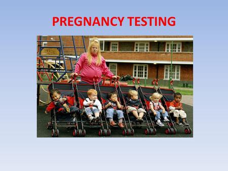 PREGNANCY TESTING. Signs and symptoms Missed Period Just Feeling Pregnant Breast Tenderness Fatigue Frequent Urination Nausea Dizziness Fainting Food.