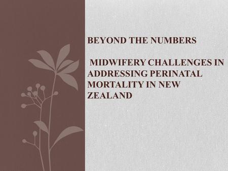BEYOND THE NUMBERS MIDWIFERY CHALLENGES IN ADDRESSING PERINATAL MORTALITY IN NEW ZEALAND.