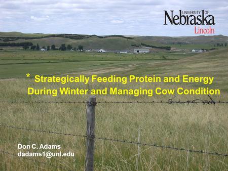 * Strategically Feeding Protein and Energy During Winter and Managing Cow Condition Don C. Adams