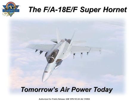 The F/A-18E/F Super Hornet