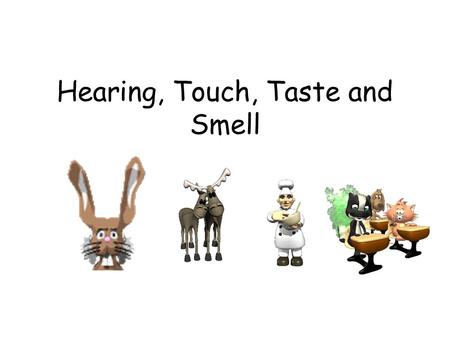 Hearing, Touch, Taste and Smell. Hearing Audition – the sense of hearing.