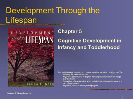 Copyright © Allyn & Bacon 2004 Development Through the Lifespan Chapter 5 Cognitive Development in Infancy and Toddlerhood This multimedia product and.