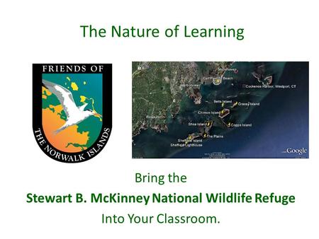 The Nature of Learning Bring the Stewart B. McKinney National Wildlife Refuge Into Your Classroom.