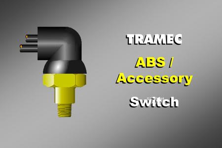 TRAMEC ABS / Accessory Switch TRAMEC ABS / Accessory Switch U.S. Patent 5929532.