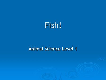 Fish! Animal Science Level 1. KNOW UNDERSTAND DO! Know   Types of Fish   Basic Fish Anatomy and Care   Basic Fish Diseases Understand o Classification.