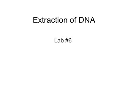 Extraction of DNA Lab #6.