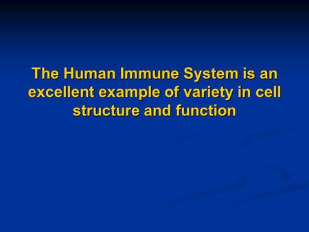 Basic Information In order to understand how these cells function, we need to have a general understanding of the immune system itself. Basic Information.