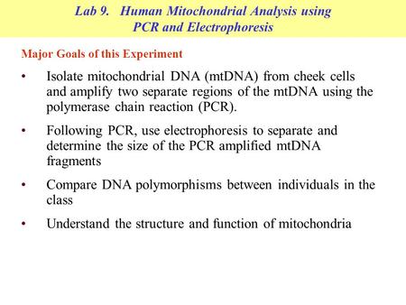 Lab 9. Human Mitochondrial Analysis using PCR and Electrophoresis Major Goals of this Experiment Isolate mitochondrial DNA (mtDNA) from cheek cells and.