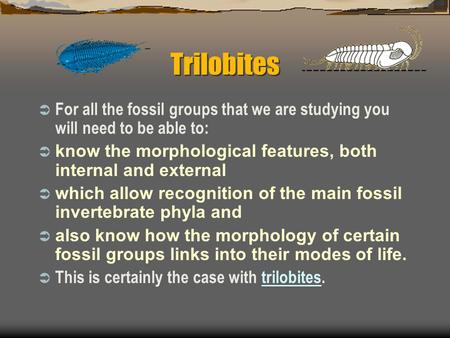 Trilobites  For all the fossil groups that we are studying you will need to be able to:  know the morphological features, both internal and external.
