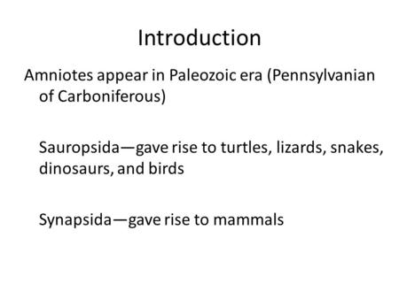 Introduction Amniotes appear in Paleozoic era (Pennsylvanian of Carboniferous) Sauropsida—gave rise to turtles, lizards, snakes, dinosaurs, and birds Synapsida—gave.