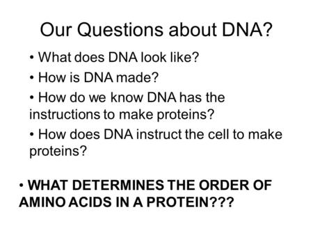 Our Questions about DNA?