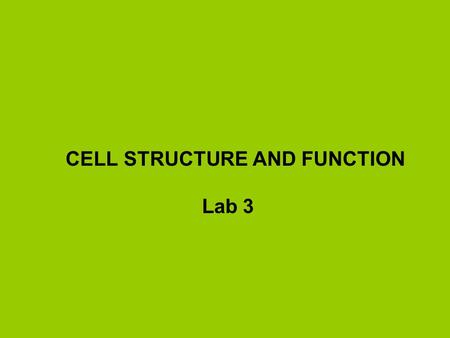CELL STRUCTURE AND FUNCTION Lab 3. Objectives Be able to make a wet mount of any cellular material provided and focus on a cell. Be able to stain cells.