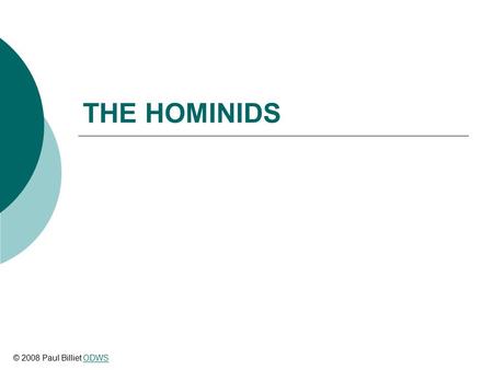 THE HOMINIDS © 2008 Paul Billiet ODWSODWS. Australopithecus afarensis © 2008 Paul Billiet ODWSODWS.