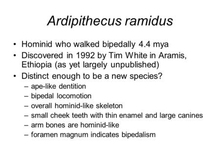 Ardipithecus ramidus Hominid who walked bipedally 4.4 mya Discovered in 1992 by Tim White in Aramis, Ethiopia (as yet largely unpublished) Distinct enough.