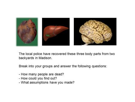 The local police have recovered these three body parts from two backyards in Madison. Break into your groups and answer the following questions: - How.