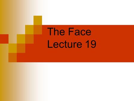 The Face Lecture 19. Facial Injuries Injuries to the cheek, nose, lips and jaw are very common in sports - especially those with moving objects, and or.