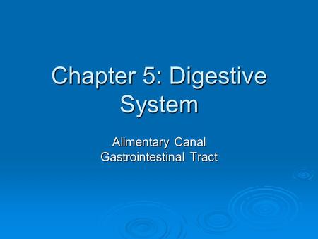 Chapter 5: Digestive System