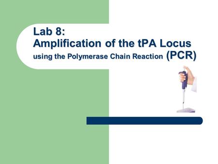 Lab 8: Amplification of the tPA Locus using the Polymerase Chain Reaction (PCR)