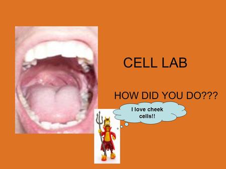 CELL LAB HOW DID YOU DO??? I love cheek cells!!. Your animal cells (cheek cells) should have looked like this: