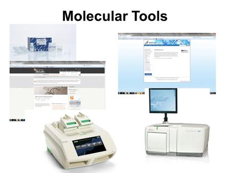 Molecular Tools.