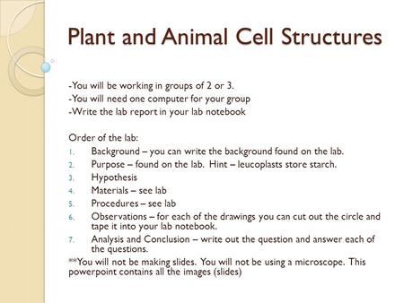Plant and Animal Cell Structures