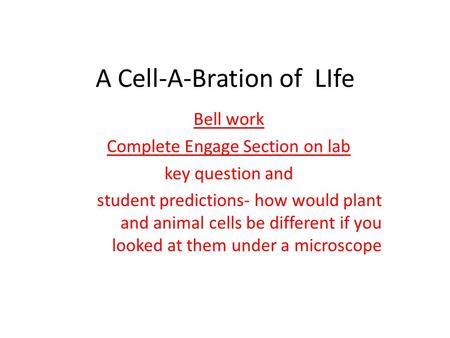 A Cell-A-Bration of LIfe Bell work Complete Engage Section on lab key question and student predictions- how would plant and animal cells be different if.