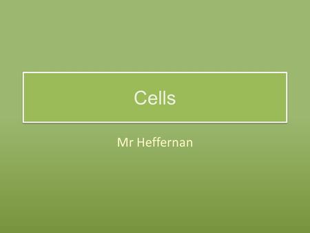Cells Mr Heffernan. Cells What are cells? – Cells are the basic building blocks of living thing. Can we see cells with our eyes? – No, we need to use.