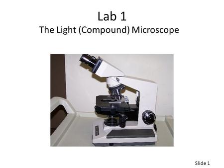 The Light (Compound) Microscope