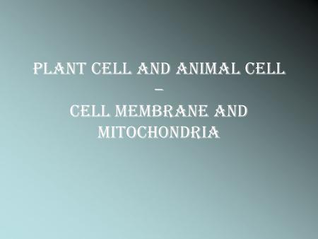 Plant cell and Animal cell – Cell membrane and Mitochondria