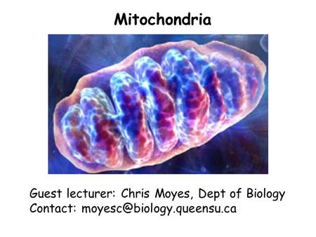 Mitochondria Guest lecturer: Chris Moyes, Dept of Biology Contact: