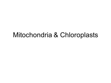 Mitochondria & Chloroplasts. Mighty Mitochondria.