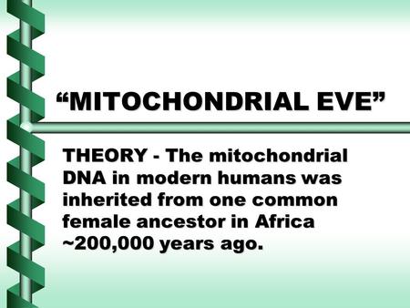 “MITOCHONDRIAL EVE” THEORY - The mitochondrial DNA in modern humans was inherited from one common female ancestor in Africa ~200,000 years ago.
