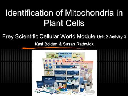 Identification of Mitochondria in Plant Cells Frey Scientific Cellular World Module Unit 2 Activity 3 Kasi Bolden & Susan Rathwick.